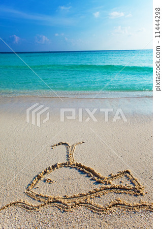 a picture on sand- whale a picture on sand- whale 11444298