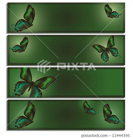 Set of beautiful banner with green butterflies 11444395