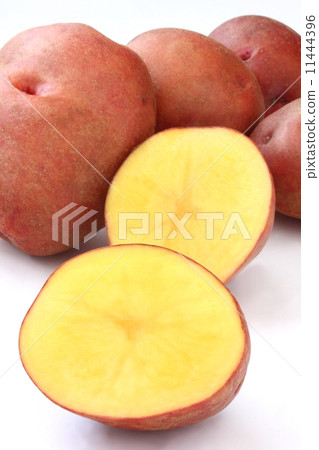 Andean Red Red Potato White Background 11444396