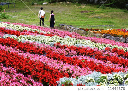 花田（Kiso Mitake索道） 11444878