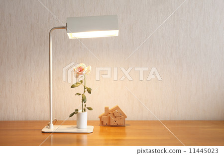 Electric lamp, light Electric lamp, light 11445023