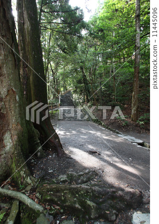 Ise Shrine Staircase朝向Gakusa Taga Palace Ise Shrine Staircase朝向Gakusa Taga Palace 11445096