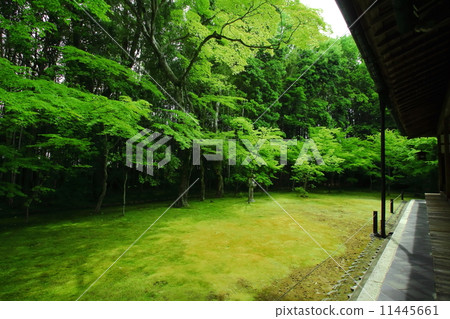 高倉學院的花園 11445661