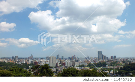 仙台市中心遙遠的景色 仙台市中心遙遠的景色 11445730
