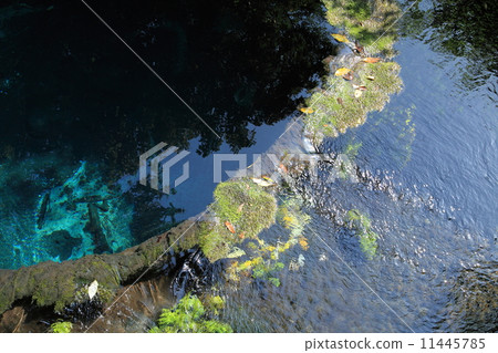Spring of Kakita River Park 11445785
