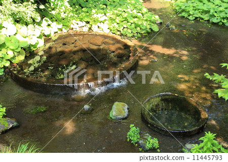 Kakita河公園的春天 11445793