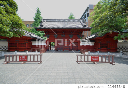 東京大學的Akamon 11445848