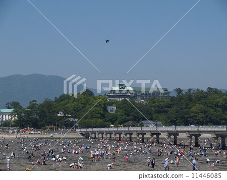 Gamagori · Takeshima Gamagori · Takeshima 11446085