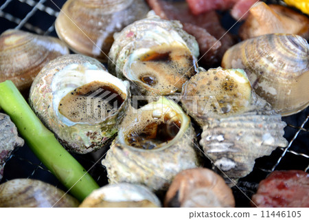 Barbecue - Spicy barbecue 11446105