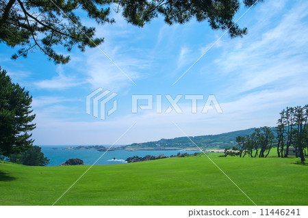 夏天不同的物種海岸 夏天不同的物種海岸 11446241