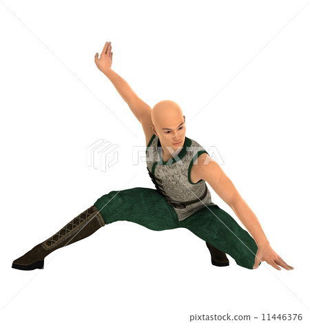 Kung Fu Master 11446376