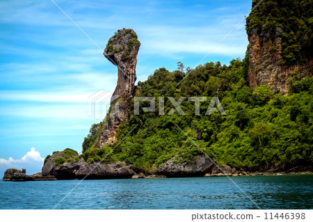 Chicken Island 11446398