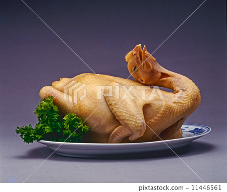 Boiled chicken Boiled chicken 11446561