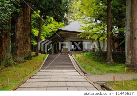 Chusonji / Kannendo 11446637