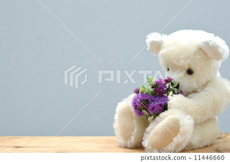 Agelatum and Teddy Bear Agelatum and Teddy Bear 11446660