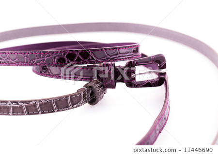 Stylish belts 11446690