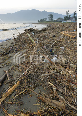 Typhoon 18's Scratch 6 Typhoon 18's Scratch 6 11446850