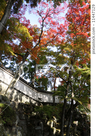 Autumn leaves of Shikoku Buddhist No.88 Ticket "Okuboji" 11447129