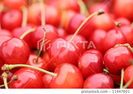Cherry 11447601