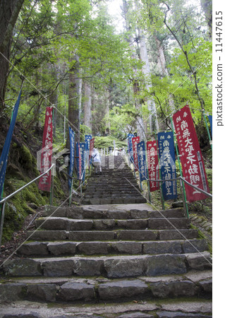 Shikoku Buddha 45th Buddha Iwaoyaji 11447615