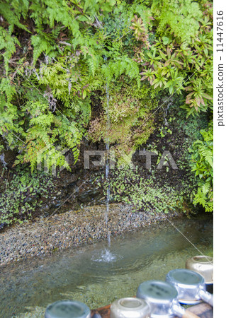 Shikoku Buddha 45th Buddha Iwaoyaji 11447616