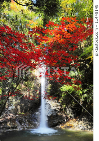 Autumnal leaves and stone waterfall Autumnal leaves and stone waterfall 11448149
