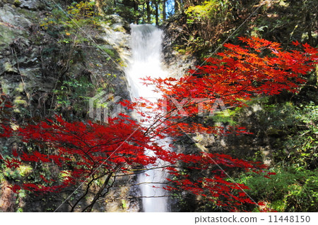 Autumnal leaves and stone waterfall Autumnal leaves and stone waterfall 11448150