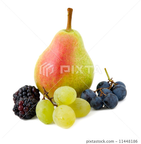 Still life Still life 11448186