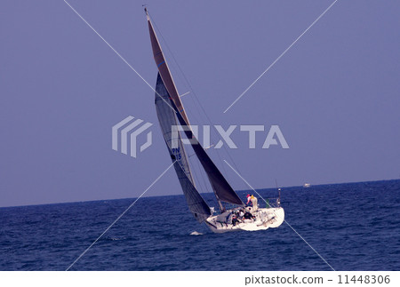 遊艇比賽 11448306