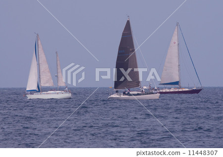 Yacht race Yacht race 11448307