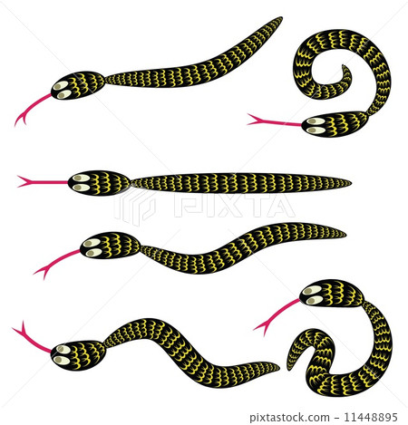 set of snakes 11448895