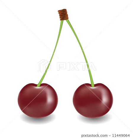 two cherry 11449064