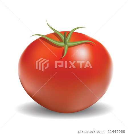 red tomato 11449068