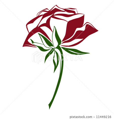 Rose flower sketch Rose flower sketch 11449216