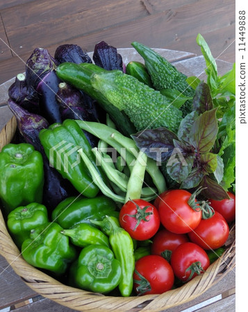 Freshly harvested summer vegetables Freshly harvested summer vegetables 11449888