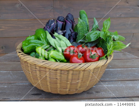 Freshly harvested summer vegetables 11449891
