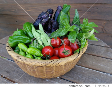 新鮮的夏季蔬菜 新鮮的夏季蔬菜 11449894