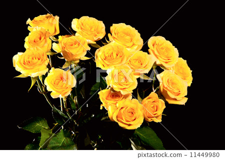 Bouquet of yellow roses Bouquet of yellow roses 11449980