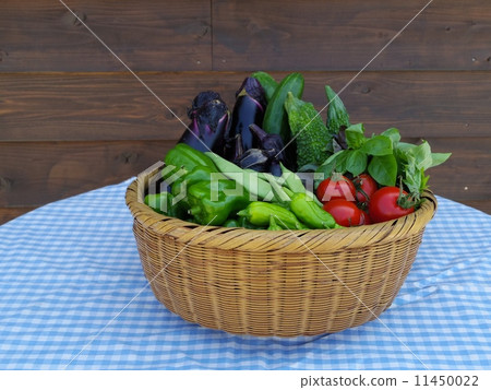 新近地被收穫的新鮮的夏天菜 11450022
