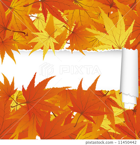 Autumn maple seamless pattern with ripped stripe Autumn maple seamless pattern with ripped stripe 11450442
