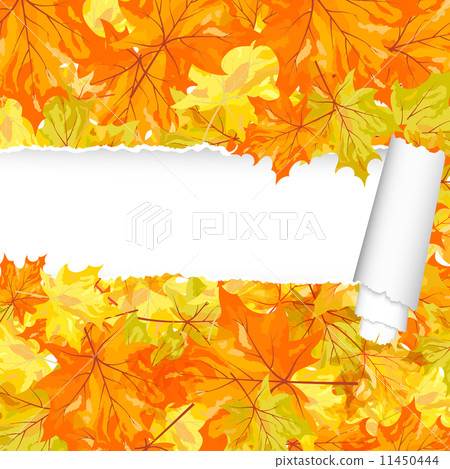 Autumn maple pattern with ripped stripe 11450444