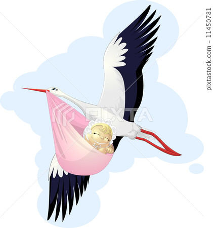 stork stork 11450781