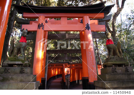 Senbon torii of Kyoto Fushimi Inari Shrine Senbon torii of Kyoto Fushimi Inari Shrine 11450948