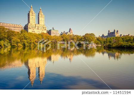 Central park at sunny day 11451594