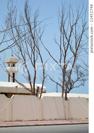 Old mosque and dry trees in Saudi Arabia 11451749