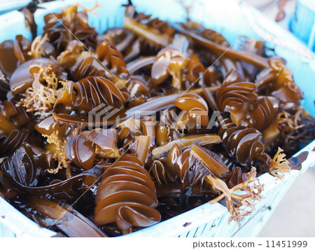 Watanabe Tanohata 11451999