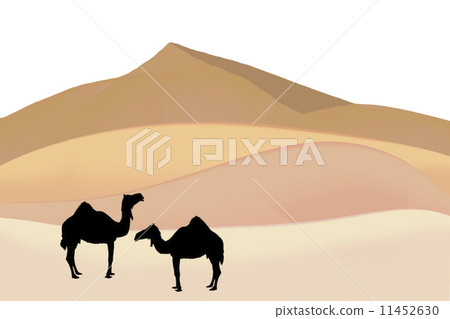 Desert and camel Desert and camel 11452630