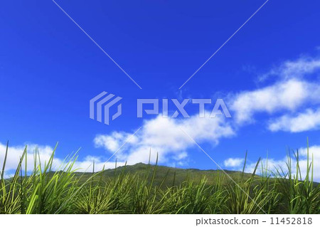 Clouds of the plateau 11452818