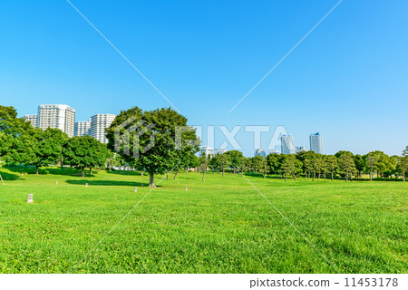 Yokohama Rinko Park (Minatomirai Nishi-ku, Yokohama City) Yokohama Rinko Park (Minatomirai Nishi-ku, Yokohama City) 11453178