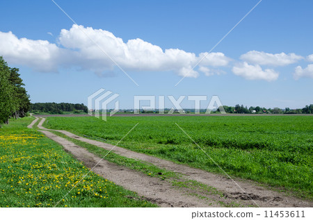 Farmers road at field 11453611